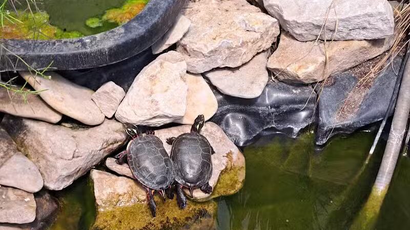 Kelleys Island State Park Picnic Area - Kelleys Island, OH