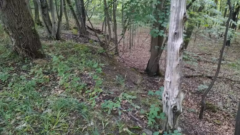 Kelleys Island State Park Picnic Area - Kelleys Island, OH