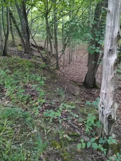 Kelleys Island State Park Picnic Area - Kelleys Island, OH