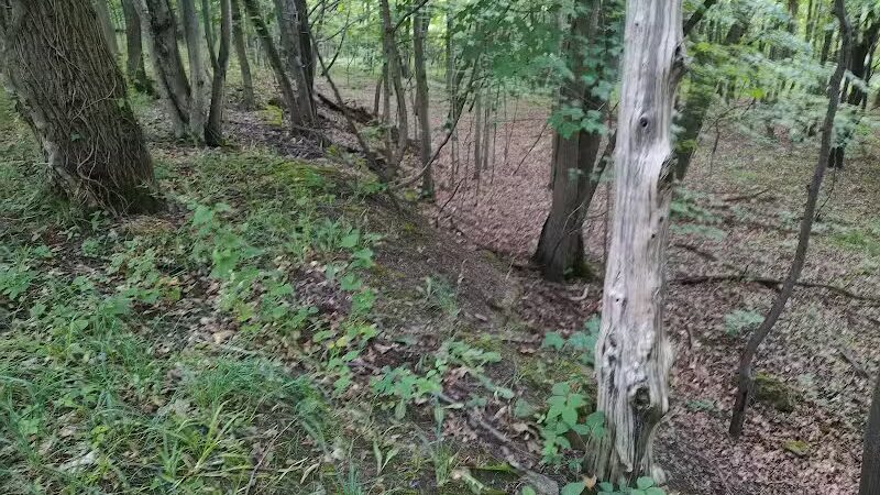 Kelleys Island State Park Picnic Area - Kelleys Island, OH