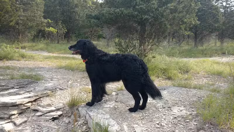 Kelleys Island State Park - Kelleys Island, OH
