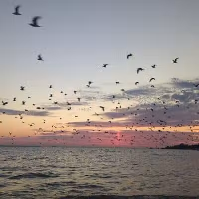 Pebble Beach - Kelleys Island, OH
