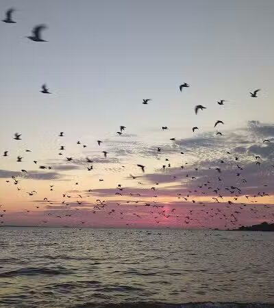Pebble Beach - Kelleys Island, OH