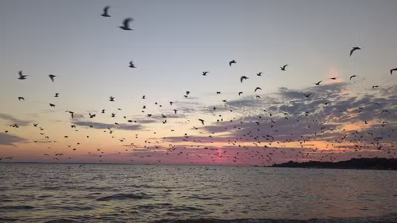 Pebble Beach - Kelleys Island, OH