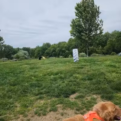 Cranberry Creek Park - Kent, OH
