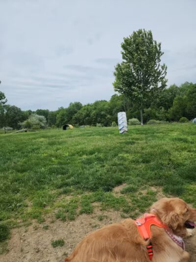 Cranberry Creek Park - Kent, OH