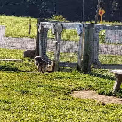 Cranberry Creek Park - Kent, OH