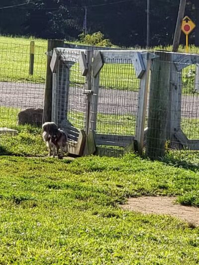 Cranberry Creek Park - Kent, OH