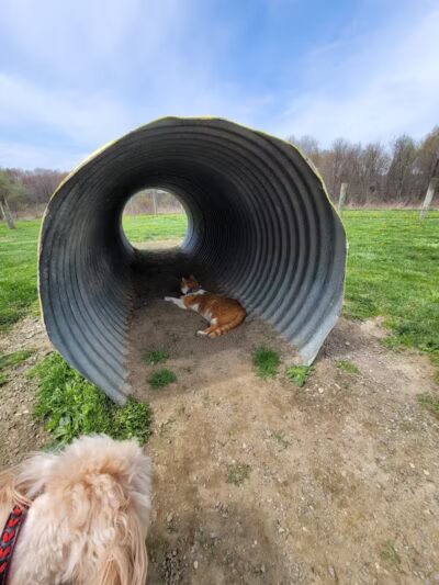 Cranberry Creek Park - Kent, OH