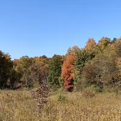 Cranberry Creek Park - Kent, OH