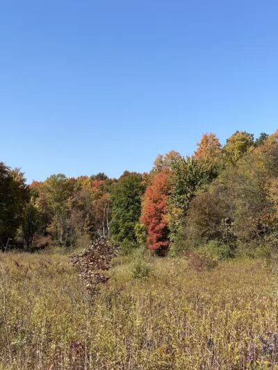 Cranberry Creek Park - Kent, OH