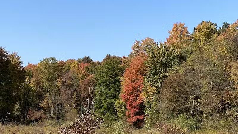Cranberry Creek Park - Kent, OH