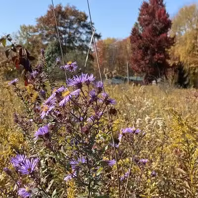 Cranberry Creek Park - Kent, OH