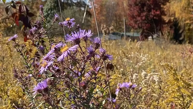 Cranberry Creek Park - Kent, OH