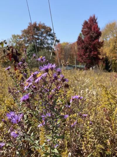 Cranberry Creek Park - Kent, OH