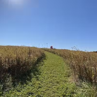 Cranberry Creek Park - Kent, OH