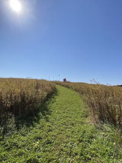 Cranberry Creek Park - Kent, OH