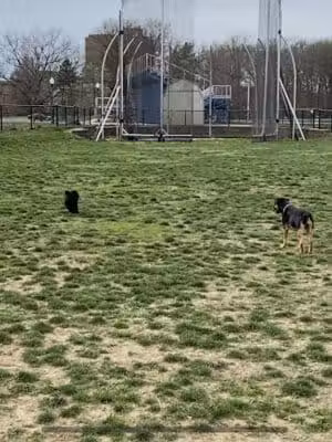 Dog Park (Unofficial) - Kent, OH