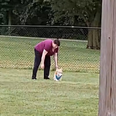 Boy Scout Dog Park - Kenton, OH