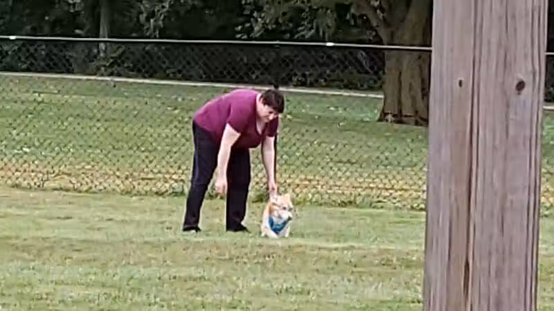 Boy Scout Dog Park - Kenton, OH