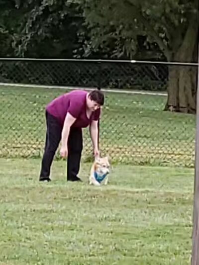 Boy Scout Dog Park - Kenton, OH