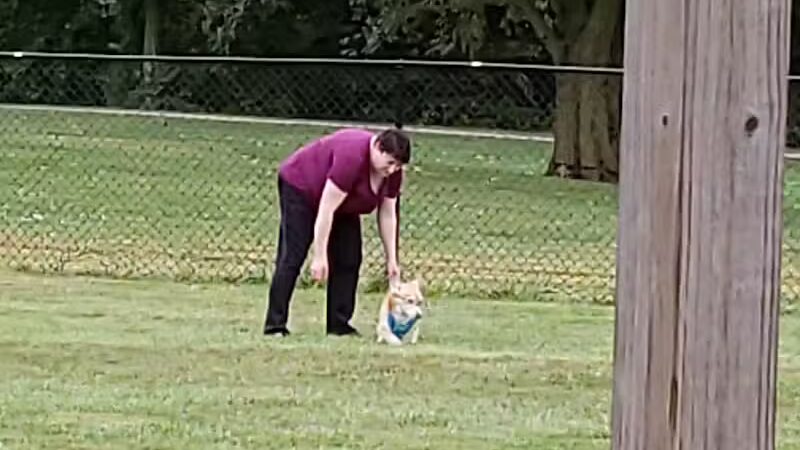 Boy Scout Dog Park - Kenton, OH