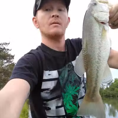 Boy Scout Dog Park - Kenton, OH