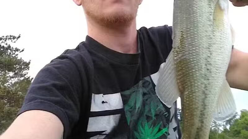 Boy Scout Dog Park - Kenton, OH