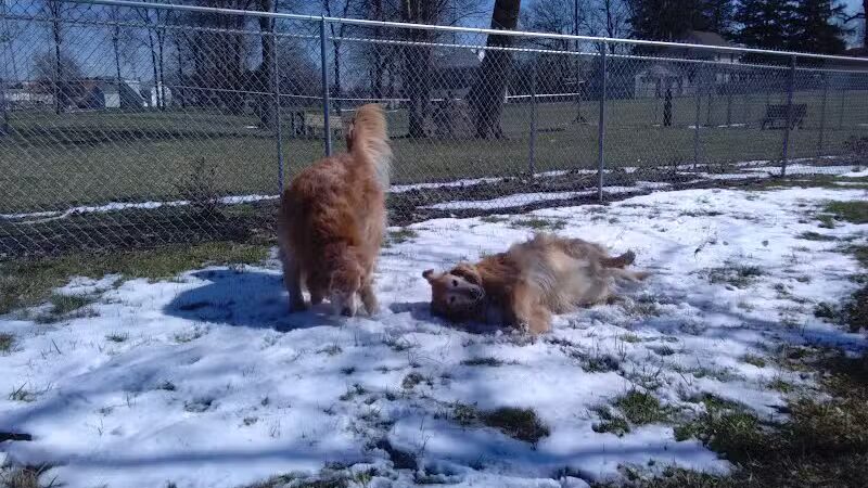 Kenton Bark Park Dog Park - Kenton, OH