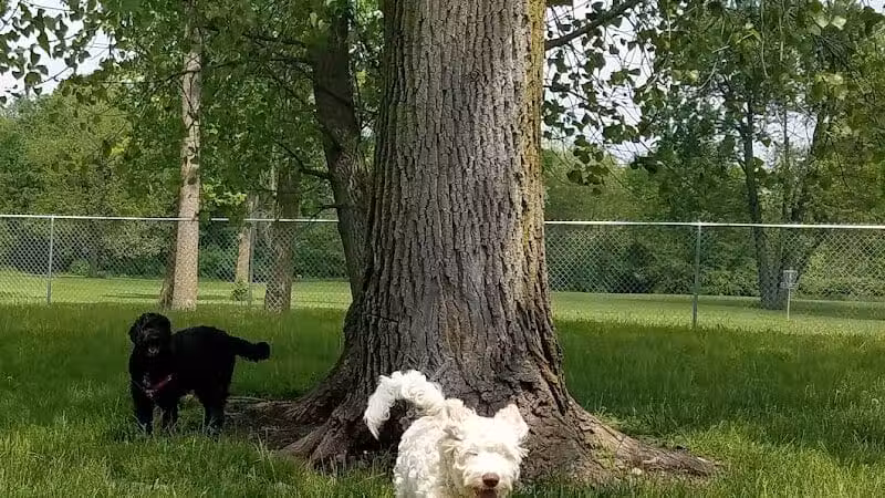 Kenton Bark Park Dog Park - Kenton, OH