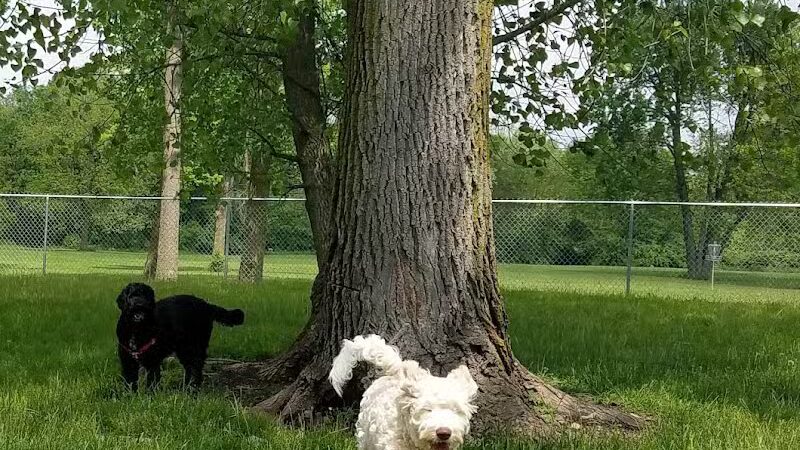 Kenton Bark Park Dog Park - Kenton, OH