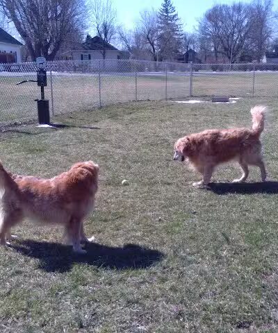 Kenton Bark Park Dog Park - Kenton, OH