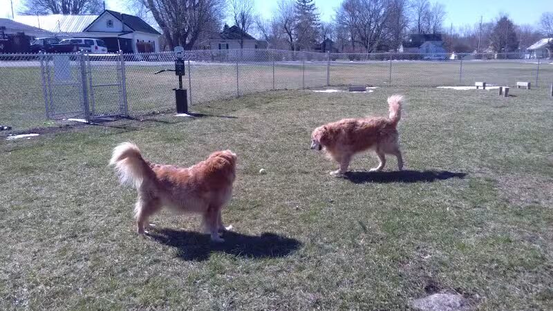 Kenton Bark Park Dog Park - Kenton, OH