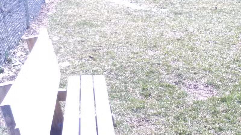 Kenton Bark Park Dog Park - Kenton, OH