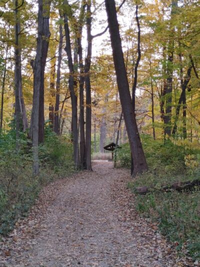 Paw Paw Pavilion - Kettering, OH
