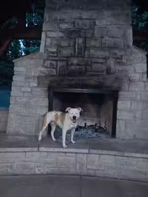 Paw Paw Pavilion - Kettering, OH