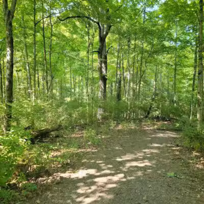 Carter Park - Kings Mills, OH