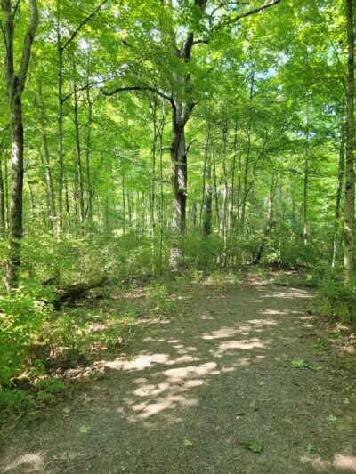 Carter Park - Kings Mills, OH