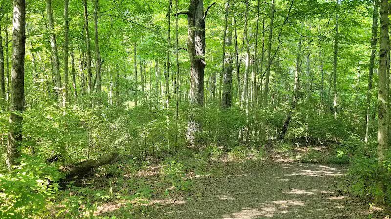 Carter Park - Kings Mills, OH