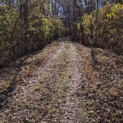 Carter Park - Kings Mills, OH