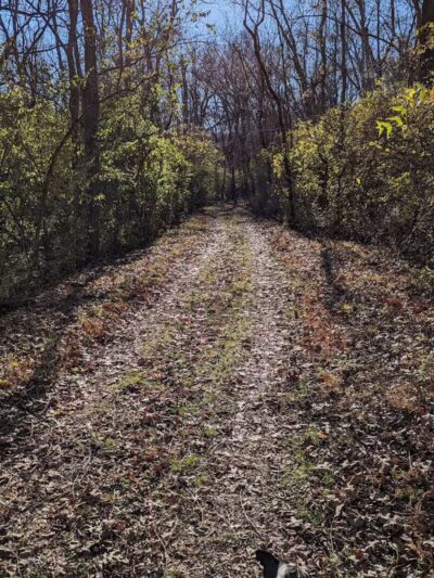 Carter Park - Kings Mills, OH