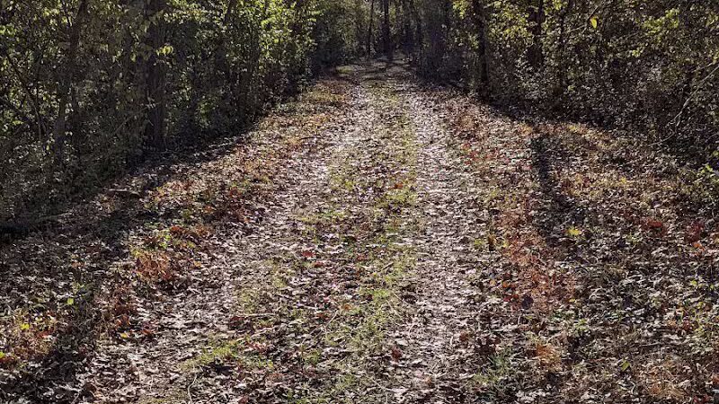 Carter Park - Kings Mills, OH