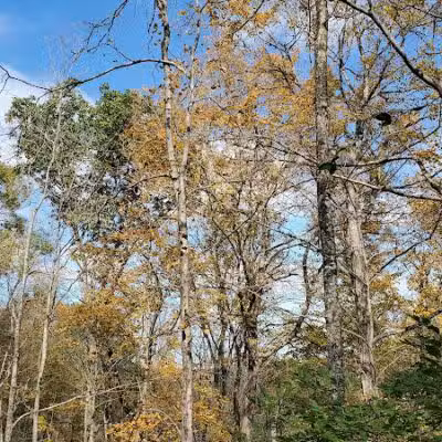 Carter Park - Kings Mills, OH