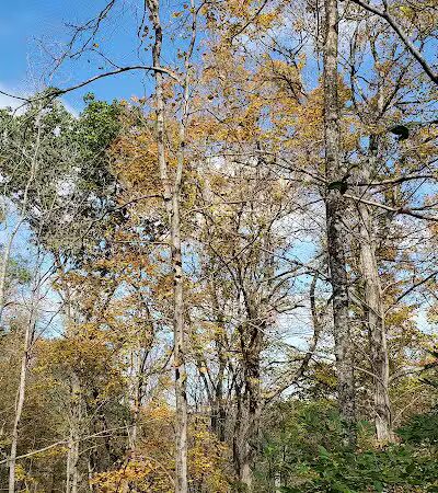 Carter Park - Kings Mills, OH