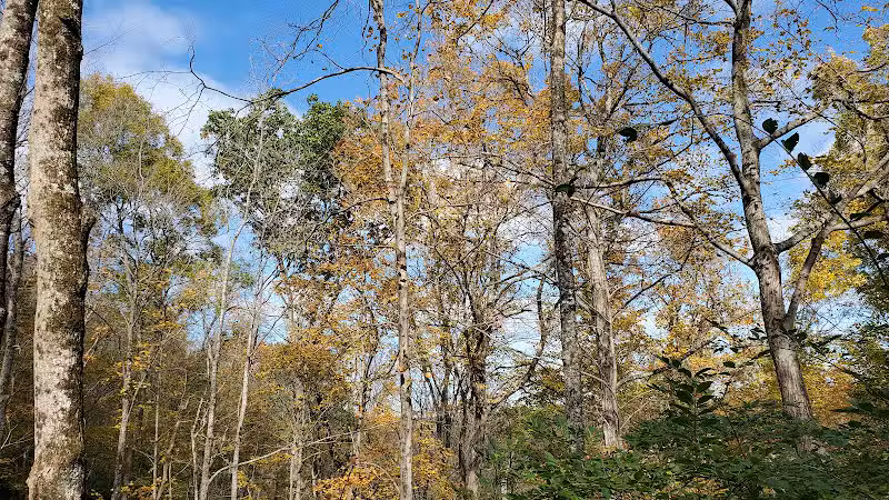 Carter Park - Kings Mills, OH