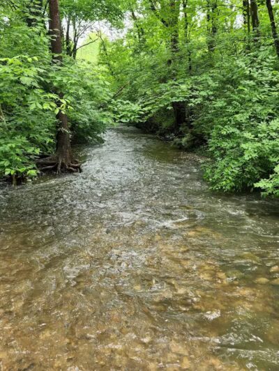 Carter Park - Kings Mills, OH