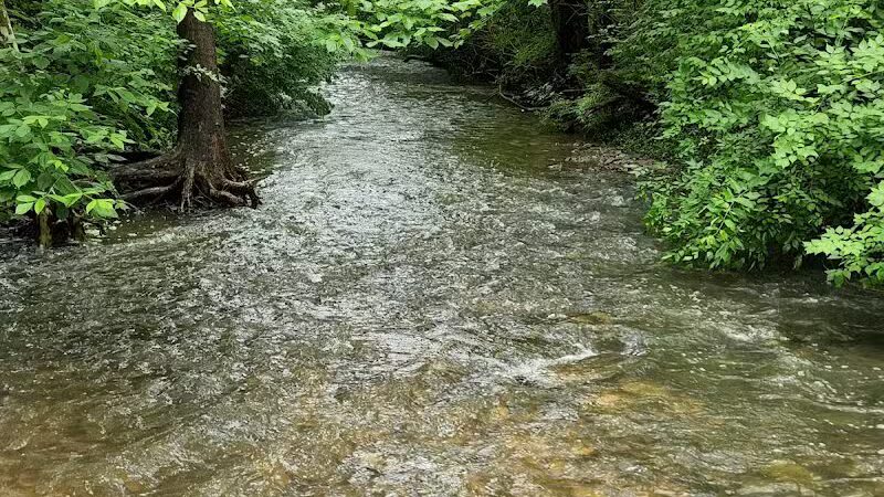 Carter Park - Kings Mills, OH