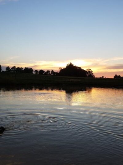 Canine Meadow - Dog Park - Kirtland, OH