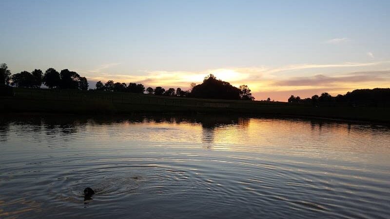Canine Meadow - Dog Park - Kirtland, OH