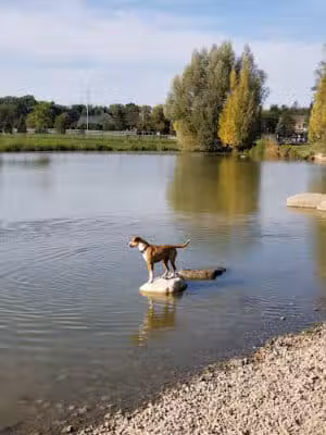 Canine Meadow - Dog Park - Kirtland, OH